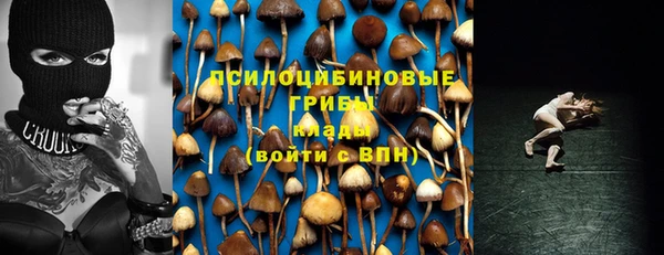 бошки Алексеевка