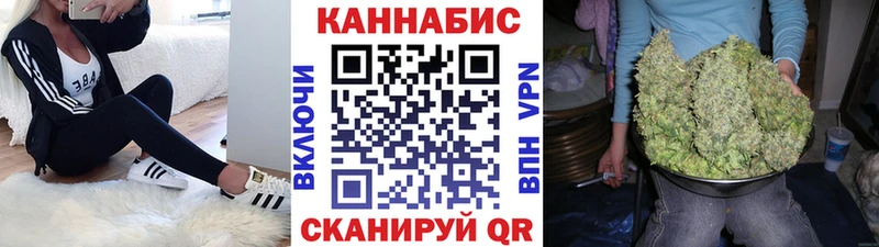 Канабис планчик  даркнет сайт  OMG как войти  Бийск 